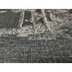 555035 Rasch vliesová omyvatelná tapeta na zeď Lirico 2025, velikost 10,05 m x 53 cm