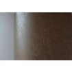 56137 Luxusní vliesová lesklá tapeta na zeď Padua, velikost 10,05 m x 53 cm