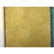 617177 Rasch omyvatelná vliesová tapeta na zeď s velmi odolným vinylovým povrchem z kolekce Linares (2023), velikost 10,05 m x 53 cm
