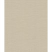 700459 Rasch omyvatelná vliesová tapeta na zeď s velmi odolným vinylovým povrchem z kolekce Kalahari 2023, velikost 10,05 m x 53 cm