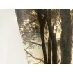 A46301 Grandeco vliesová fototapeta na zeď stromy v přírodě z kolekce One roll one motif, velikost 1,59 m x 2,8 m