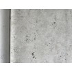 A48601 Vliesová omyvatelná tapeta na zeď s vinylovým povrchem z kolekce Vavex Wallpaper 2024, velikost 53 cm x 10,05 m