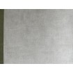 A51517 Vliesová omyvatelná tapeta na zeď s vinylovým povrchem z kolekce Vavex Premium Selection 2024, velikost 53 cm x 10,05 m