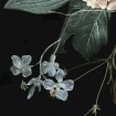 KT-D1030 Kulatá samolepocí obrazová fototapeta Komar Enchanted Flowers, velikost průměr 128 cm