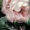 KT-D1032 Kulatá samolepocí obrazová fototapeta Komar Flower Couture, velikost průměr 128 cm