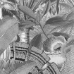KT-D1055 Kulatá samolepocí obrazová fototapeta Komar Amazonian Spirit, velikost průměr 128 cm