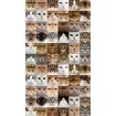 FCP L 6567 AG Design textilní foto závěs obrazový Cats - Kočky FCPL 6567, velikost 140 x 245 cm