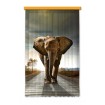 FCS L 7507 AG Design textilní foto závěs obrazový Elephant - Slon FCSL 7507, velikost 140 x 245 cm