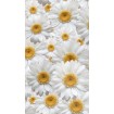 FCS L 7524 AG Design textilní foto závěs  obrazový Flowers - květiny FCSL 7524, velikost 140 x 245 cm