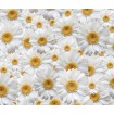 FCS XL 4810 AG Design textilní foto závěs dělený obrazový Flowers - Květiny FCSXL 4810, velikost 180 x 160 cm