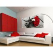 FTN H 2717 AG Design vliesová fototapeta na zeď panoramatická Red rose, velikost 202 x 90 cm