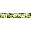 KI-350-009 Samolepicí fototapeta do kuchyně - White Tulips, velikost 350 x 60 cm