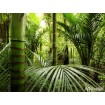 Obrazová vliesová fototapeta na zeď čtyřdílná FTNxxl0465 Bambusový les, velikost 360 x 270 cm