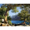 Obrazová vliesová fototapeta na zeď čtyřdílná FTNxxl1113 Horské jezero a borovice, velikost 360 x 270 cm