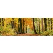 KI-260-045 Fototapeta do kuchyně - Autumn Forest (Podzimní les), velikost: 260 x 60 cm
