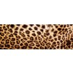 KI-260-069 Fototapeta do kuchyně - Leopard Skin (Leopardí kůže), velikost: 260 x 60 cm