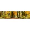 KI-260-045 Fototapeta do kuchyně - Autumn Forest (Podzimní les), velikost: 260 x 60 cm