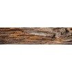 KI-260-062 Fototapeta do kuchyně - Tree Bark (Kůra stromu), velikost: 260 x 60 cm
