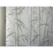 KT2-98973 A.S. Création vliesová tapeta na zeď Michalsky 4 (2024) bambus, velikost 10,05 m x 53 cm