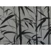 KT4-98973 A.S. Création vliesová tapeta na zeď Michalsky 4 (2024) bambus, velikost 10,05 m x 53 cm
