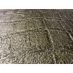 KT75AQ1369 Rasch vliesová omyvatelná tapeta na zeď African Queen III 2025, velikost 10,05 m x 53 cm