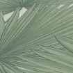 KTATQ0004 AS Création přírodní vliesová tapeta na zeď s palmovými listy Antiqua (2025), velikost 10,05 m x 53 cm