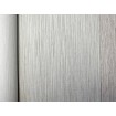 38756-2 AS Création přírodní vliesová tapeta na zeď Attractive 2 (2025), velikost 10,05 m x 53 cm