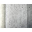 36600-1 AS Création přírodní vliesová tapeta na zeď Attractive 2 (2025), velikost 10,05 m x 53 cm