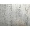 36705-1 AS Création designová vliesová tapeta na zeď Dimex 2025, velikost 10,05 m x 53 cm