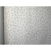 L99304 UGÉPA francouzská dětská vliesová tapeta na zeď katalog My Kingdom 2024, velikost 53 cm x 10,05 m