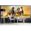 MP-2-0227 Vliesová obrazová panoramatická fototapeta Horses in Sunset + lepidlo Zdarma, velikost 375 x 150 cm