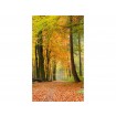 MS-2-0099 Vliesová obrazová fototapeta Autumn Forest, velikost 150 x 250 cm