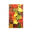 MS-2-0115 Vliesová obrazová fototapeta Colorful Leaves, velikost 150 x 250 cm