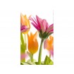 MS-2-0142 Vliesová obrazová fototapeta Spring Flowers, velikost 150 x 250 cm