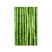 MS-2-0165 Vliesová obrazová fototapeta Bamboo, velikost 150 x 250 cm