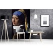 MS-2-0254 Vliesová obrazová fototapeta Girl with a Pearl Earring - Johannes Vermeer, velikost 150 x 250 cm