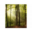 MS-3-0098 Vliesová obrazová fototapeta Forest, velikost 225 x 250 cm