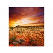 MS-3-0050 Vliesová obrazová fototapeta Australian Landscape, velikost 225 x 250 cm