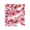 MS-3-0109 Vliesová obrazová fototapeta Sakura, velikost 225 x 250 cm