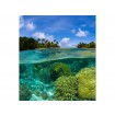 MS-3-0200 Vliesová obrazová fototapeta Coral Reef, velikost 225 x 250 cm