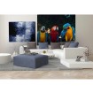 MS-3-0223 Vliesová obrazová fototapeta Colorful Macaw, velikost 225 x 250 cm