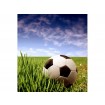 MS-3-0305 Vliesová obrazová fototapeta Soccer Ball, velikost 225 x 250 cm