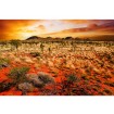MS-5-0050 Vliesová obrazová fototapeta Australian Landscape, velikost 375 x 250 cm