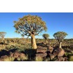 MS-5-0103 Vliesová obrazová fototapeta Namibia, velikost 375 x 250 cm