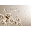 MS-5-0148 Vliesová obrazová fototapeta Dandelions and Butterfly, velikost 375 x 250 cm