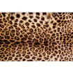 MS-5-0184 Vliesová obrazová fototapeta Leopard Skin, velikost 375 x 250 cm