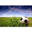 MS-5-0305 Vliesová obrazová fototapeta Soccer Ball, velikost 375 x 250 cm