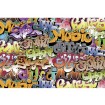 MS-5-0322 Vliesová obrazová fototapeta Graffiti Art, velikost 375 x 250 cm