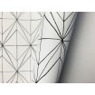 ONY702 Khroma ZOOM vliesová látková tapeta na zeď Onyx 2022 - Kami Phantom, velikost 10,05 m x 53 cm