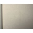 P492440005 A.S. Création vliesová tapeta na zeď Styleguide Jung 2024 jednobarevná, velikost 10,05 m x 53 cm